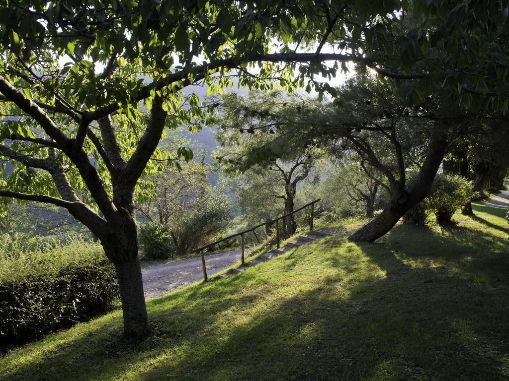 Le Silve Di Armenzano Hotel Assisi Eksteriør billede