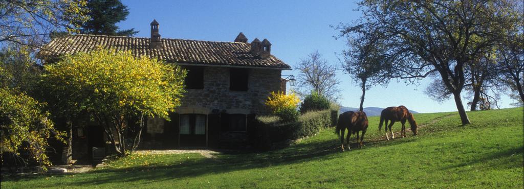 Le Silve Di Armenzano Hotel Assisi Eksteriør billede