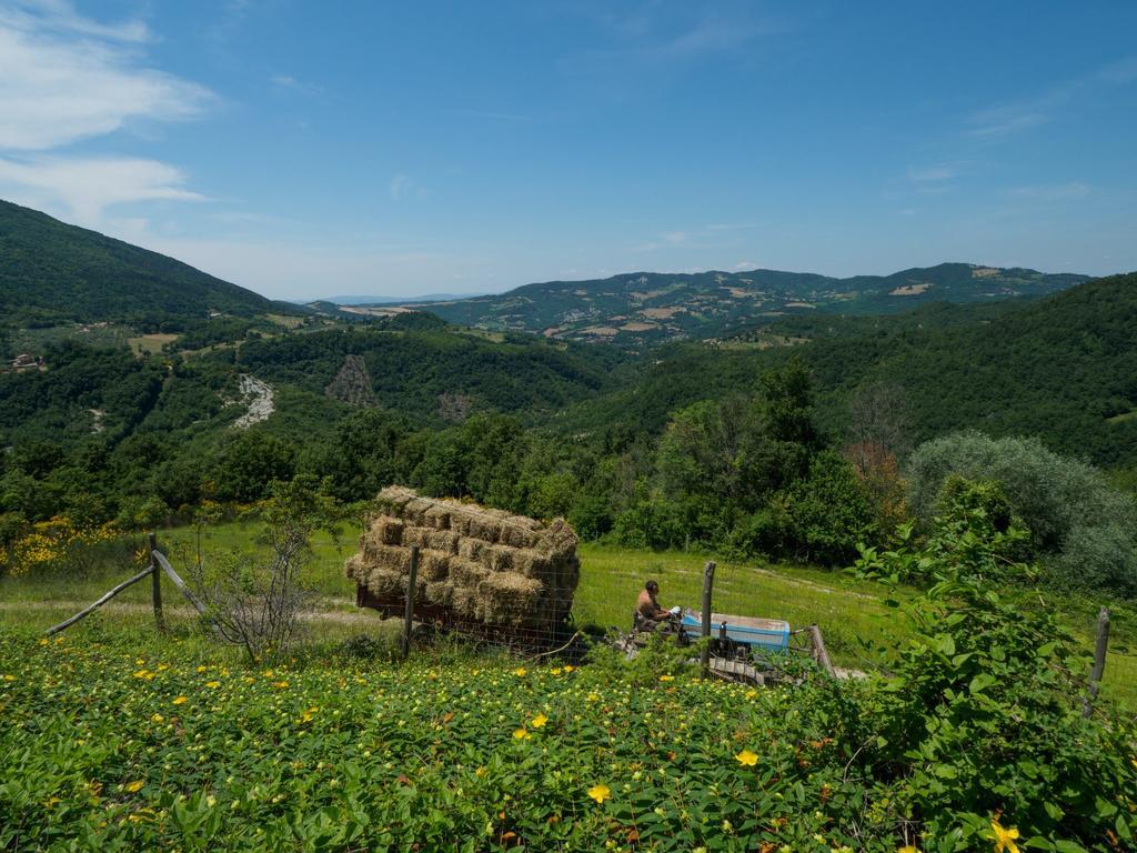 Le Silve Di Armenzano Hotel Assisi Eksteriør billede